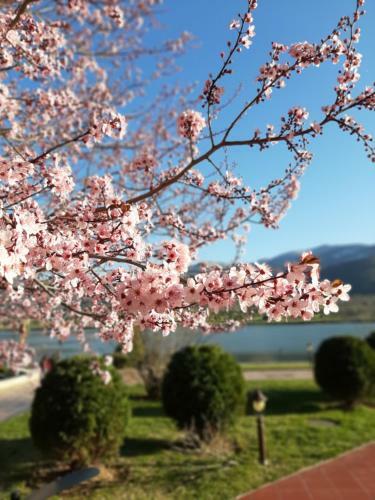 Apartamento Studio -apartament Pravets Spa Resort With Beautiful Lake View