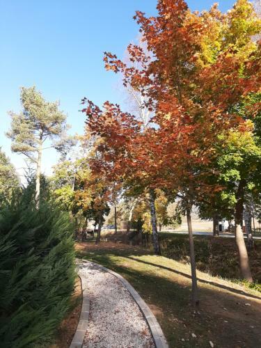 Apartamento Studio -apartament Pravets Spa Resort With Beautiful Lake View