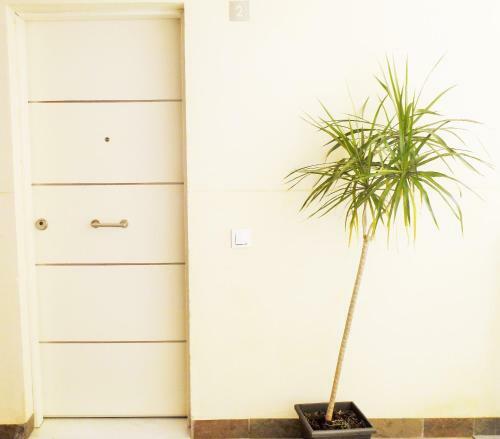 Apartamentos Nazareno