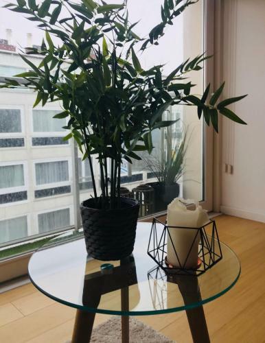 Apartamento Residence La Zoute