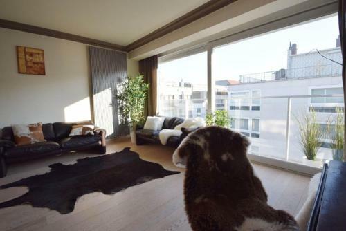 Apartamento Studio La Zoute