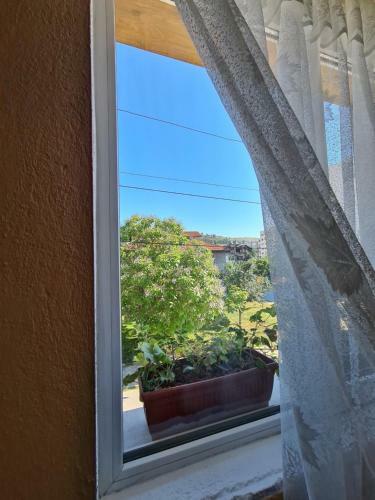 Hostal Villa Mura