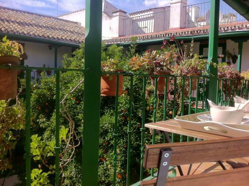 Apartamento Tradicional Oasis Sevillano