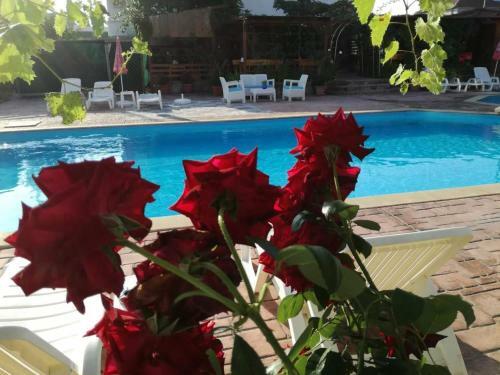 Apartamento Ethno Guest Suite