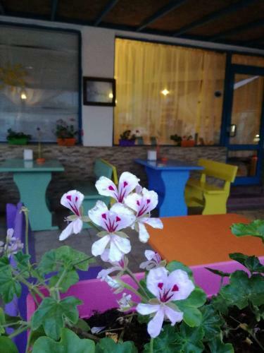 Apartamento Aura