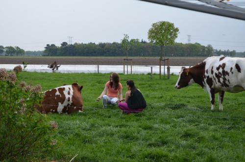 Apartamento Erfgoed & Logies Den Heijkant