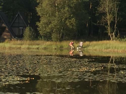 't Vosseven Vakantiehuizen