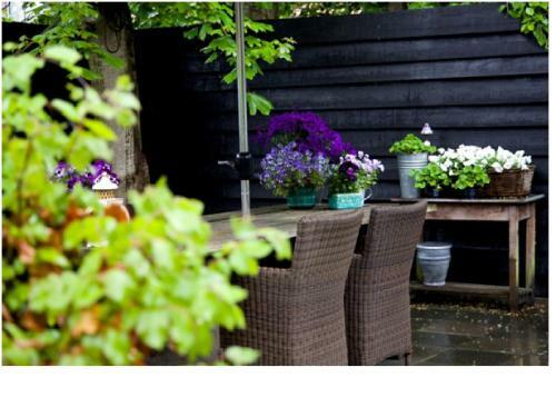 Logement-b&b Safier