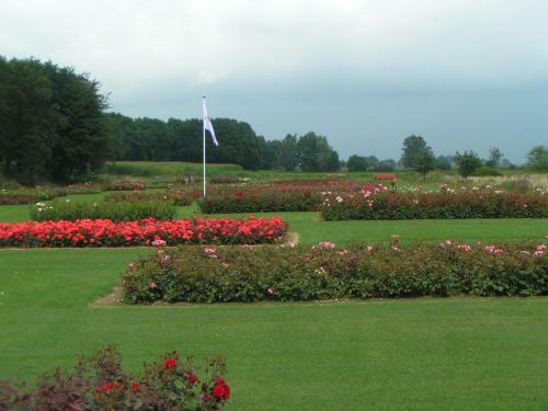 Bed & Breakfast Residence La Vie En Rose