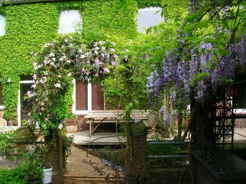 Bed & Breakfast Door & Roos