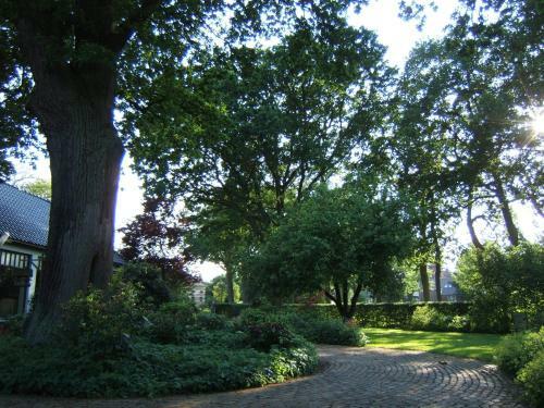 B&b"de Hassehof"