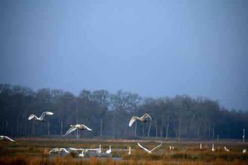 B&b"de Hassehof"
