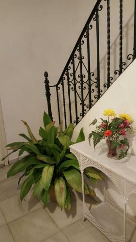 Apartamento En El Coraz�n De Sevilla