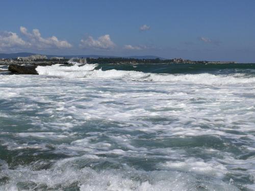 Apartamento Emerald Beach Resort & Spa,studio Ikat310
