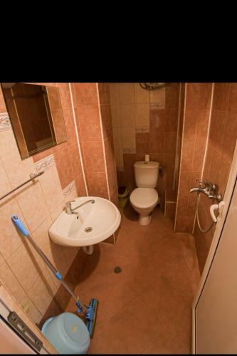 Hostal Sineva Guest House