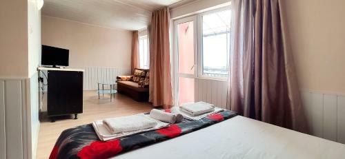 Hostal Sineva Guest House