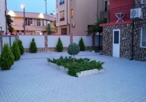 Hostal Sineva Guest House
