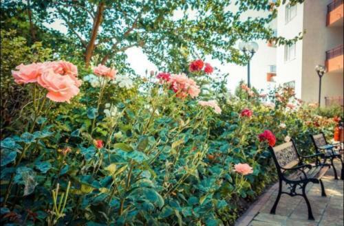 Seaside Studio Apartment In Ravda