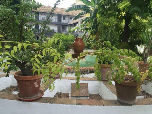 Apartamento Oasis En El Centro De Sevilla