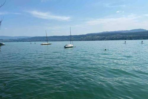 Zurich Erlenbach - Apartment With Lake View - 4,5 Rooms