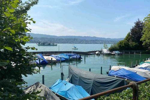 Zurich Erlenbach - Apartment With Lake View - 4,5 Rooms