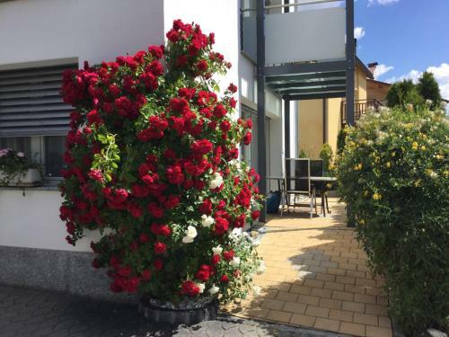 Apartamento Chasa Furt�na