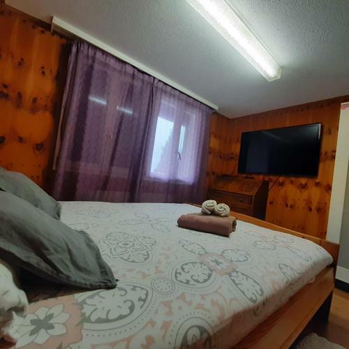 Apartamento San Marco Vip