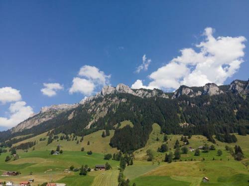 Apartment ?zemp? Fl�hli?s�renberg Swissalps