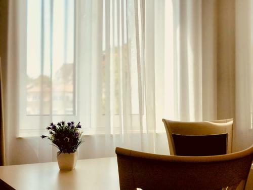 Hostal Atlas House Luxury Suites