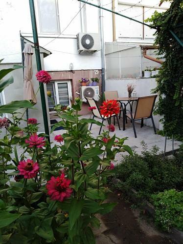 Apartamento Kamenitza Guest Flat