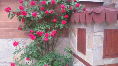Hostal Vesi's Rooms