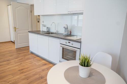 Shushi's Central Studio Apartment