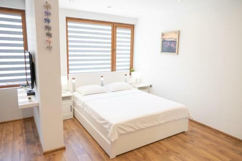Shushi's Central Studio Apartment