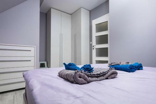 Beautiful 1bd Apartment With A Parking Spot