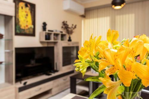 Cozy New Apartment 'casa Vacanza ' ? Top Center ?