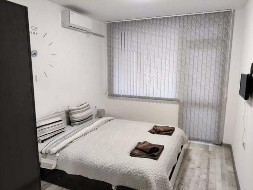 Apartment Anelia 3