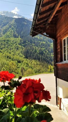 Bed & Breakfast Triftblick