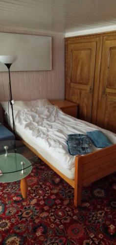 Apartamento Fewo Aletsch Dreams