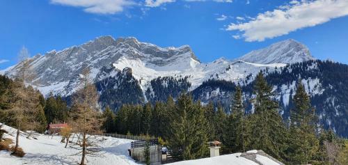 Apartamento 2 Pi�ces �quip� Avec Parking Priv�
