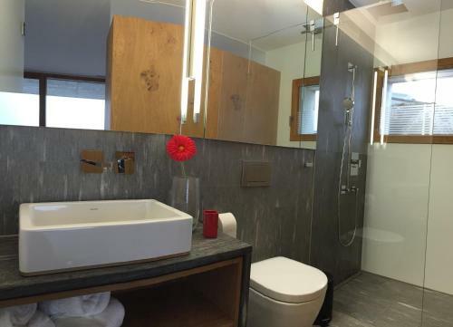 Apartamento Casa Admisa (flims Dorf)