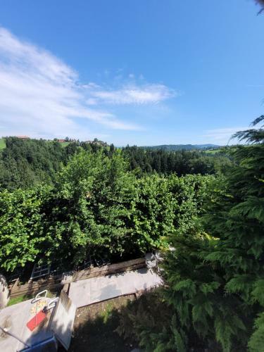 Apartamento Waldbaden
