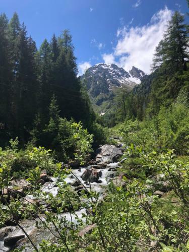 Apartamento La Gentiane