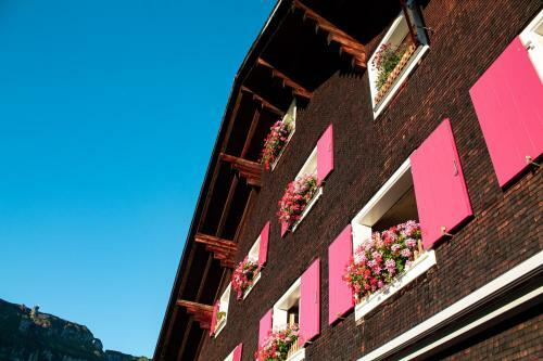 Hotel Berggasthaus Gitschenen