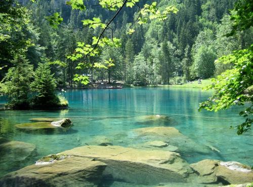 Apartment Kander Next Blausee
