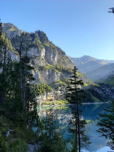 Apartment Kander Next Blausee