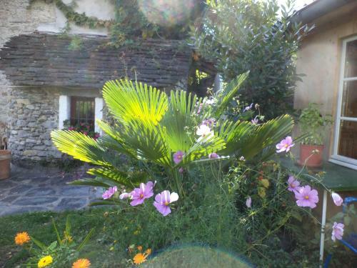 B&B Casa Codega