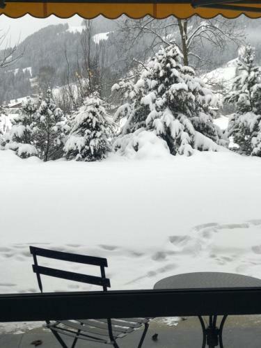 Apartamento Charly Studio In Gstaad