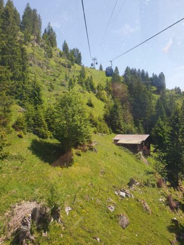 Guesthouse Gemmi Lodge