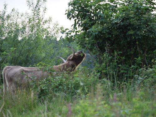 Agroturismo De Goede Weide