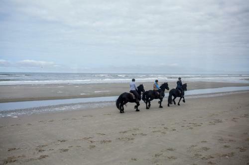 Aparthotel Terschelling Hotel Tjermel�n